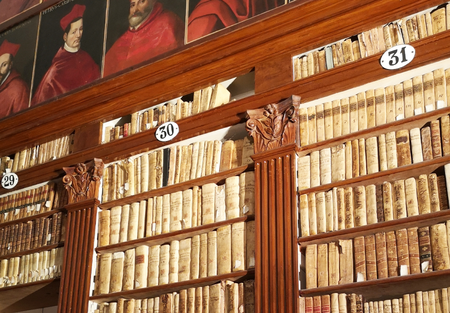 Biblioteca Ludovico Torres